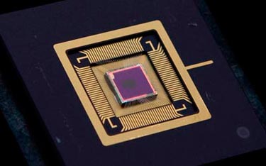 QuantumFilm: the first quantum-dot based image sensor