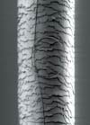 Nanowire loop