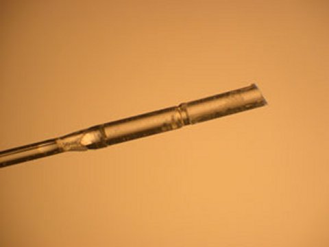 Single fibre endoscope