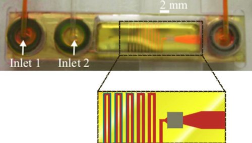 Polymer chip-based dye laser