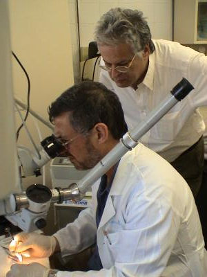 Glaucoma sufferers could soon benefit from a surgical technique that uses carbon-dioxide CO<sub>2</sub> lasers.Tel Aviv University Sackler school of medicine and IOPtima