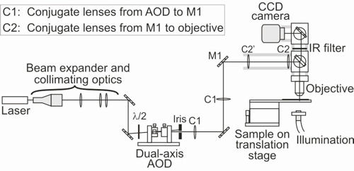 Acousto-optic Deflector in a standard Optical Tweezer setup
