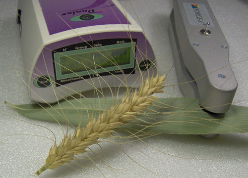 FORCE-A fluorescence-based optical sensor monitors crop growth