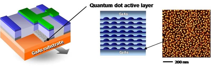 25 Gbps quantum dot laser