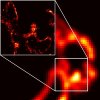 Imaging proteins