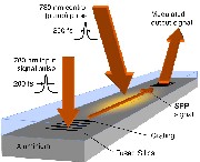 Ultrafast optical modulation of SPP propagation