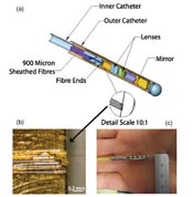 Multi-beam OCT endoscopic probe