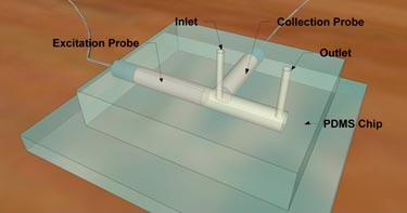 Microfluidic Raman sensor