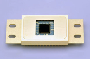 Hamamatsu's G11097-0707S sensor.