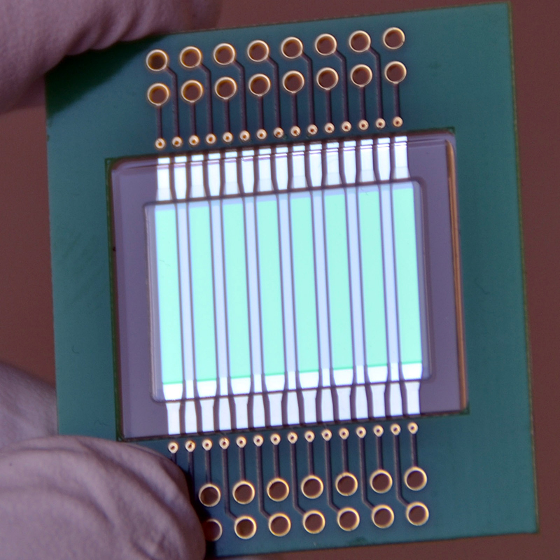Chip with integrated light source and detector for analyzing milk contaminants. 