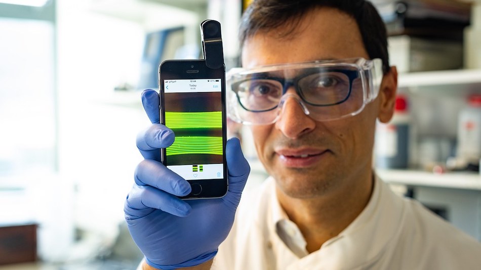 Small and portable: the test rapidly detects bacteria