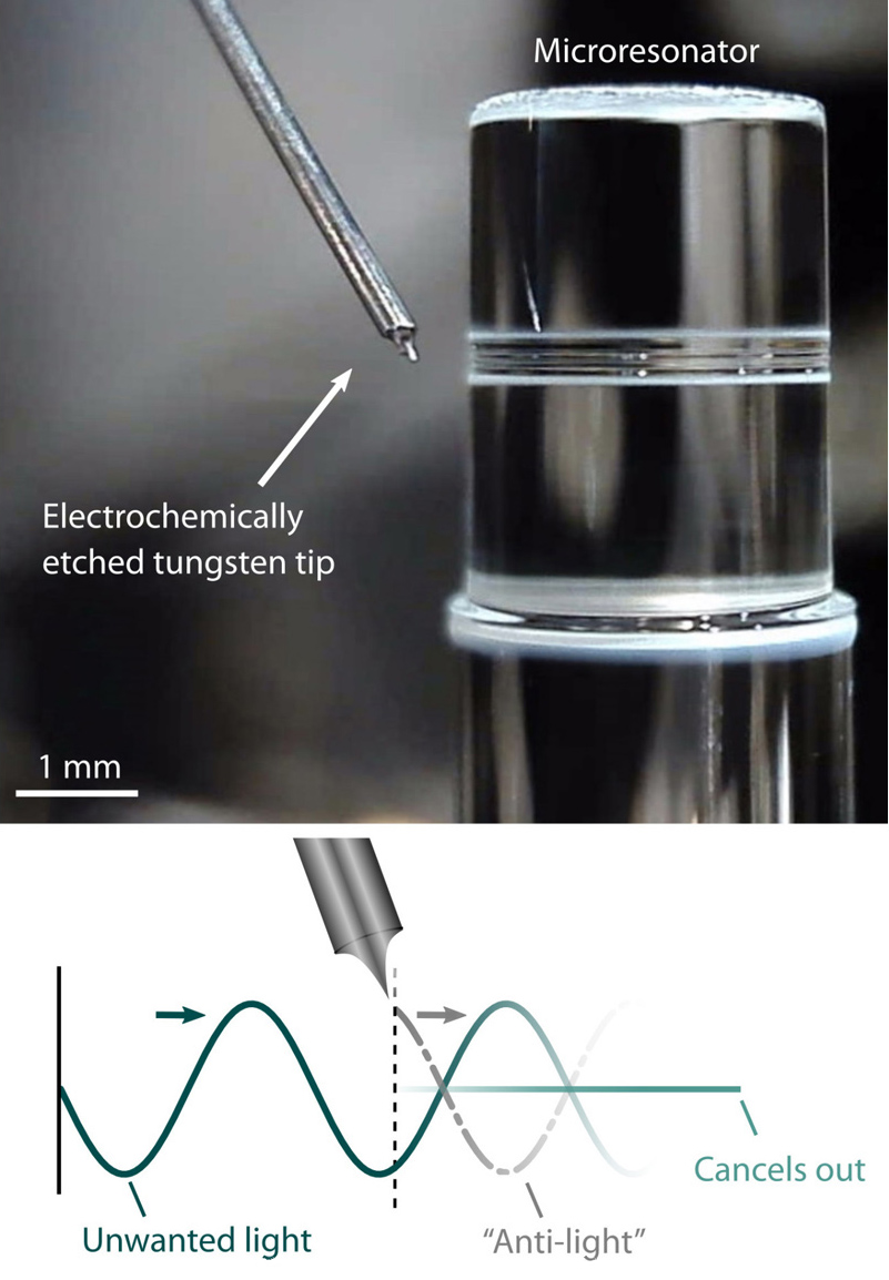 An optical microresonator with a sharp tungsten tip. Click for more info.