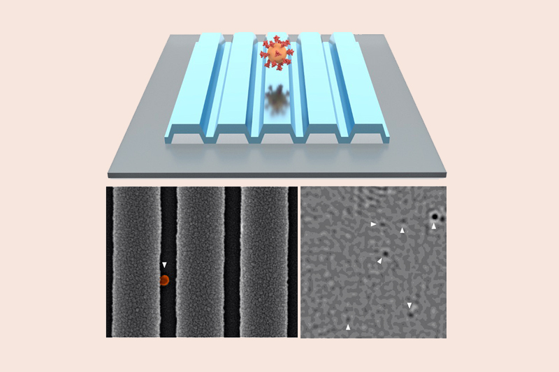 PRISM for Covid-19 detection. Click for info.