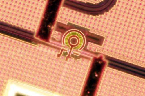 Photonic chip with a microring resonator.