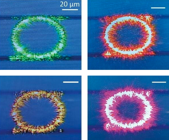 Ring cycle: Four nanophotonic resonators generate different wavelengths of light.