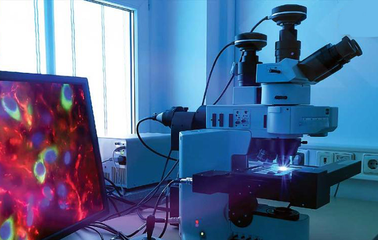 Acquisitive: Photonis develops imaging technologies.