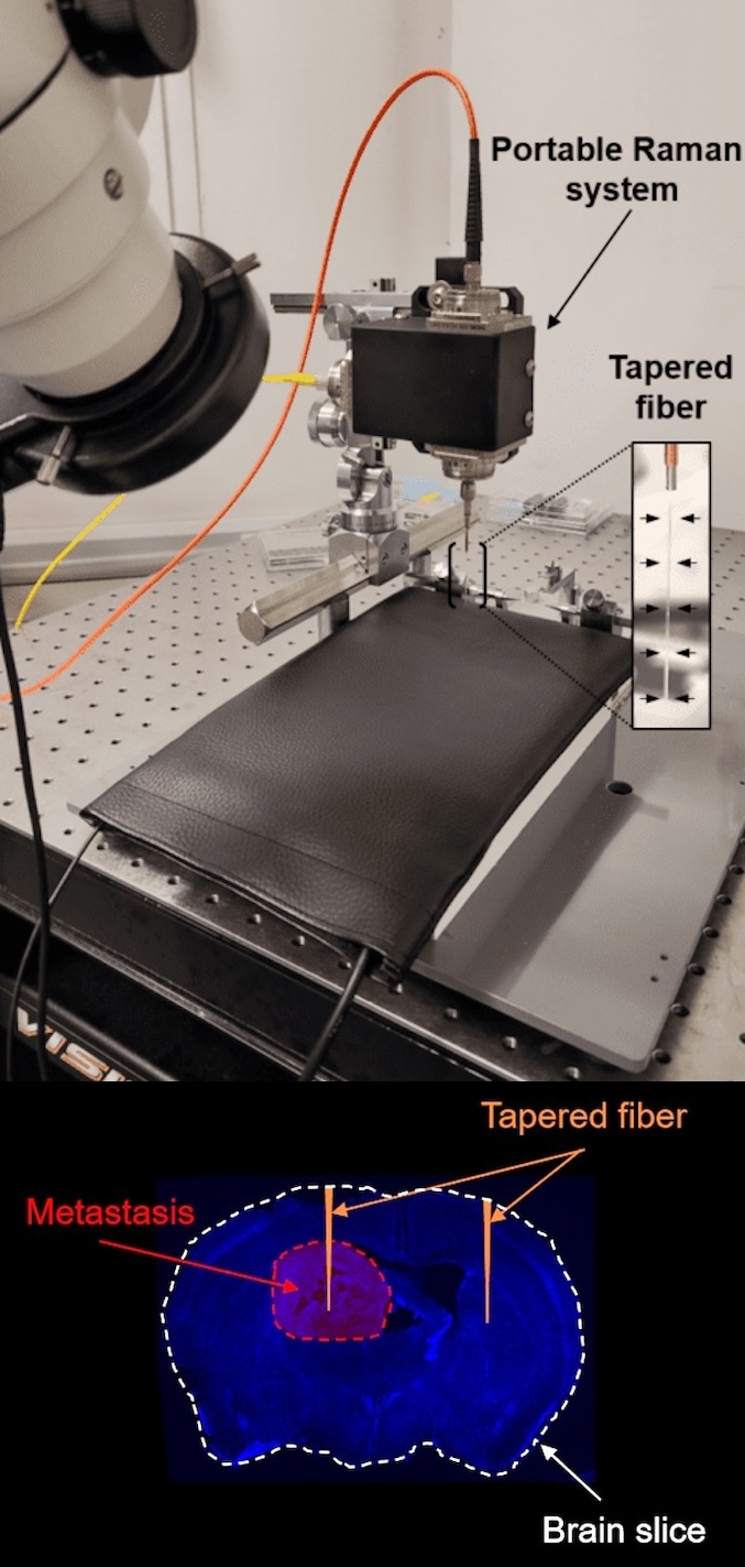 See the signs: NanoBRIGHT instrument