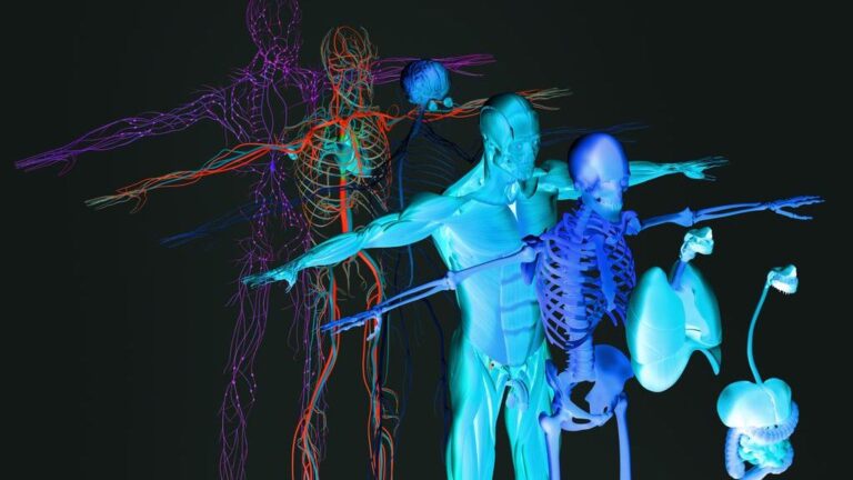 Clearer diagnoses: hybrid imaging