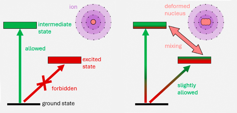 Ytterbium-173 turns forbidden quantum jumps into allowed transitions.