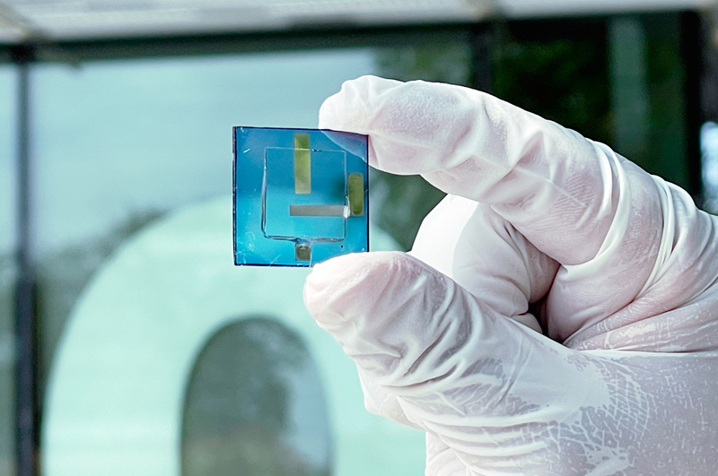 Organic solar cell developed by ICFO group.