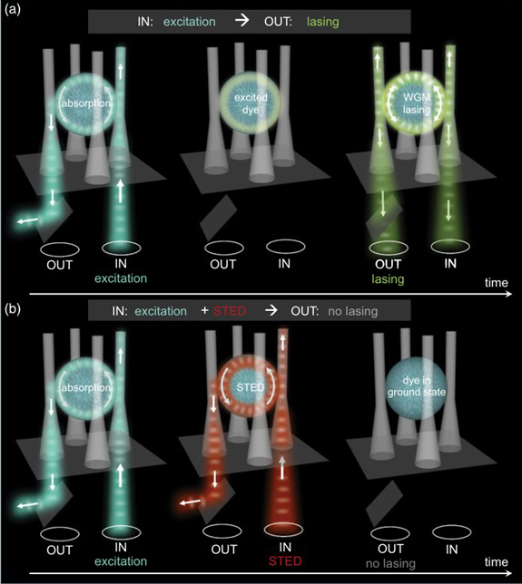 Nanosecond optical switching in a liquid crystal cavity. Click for info.