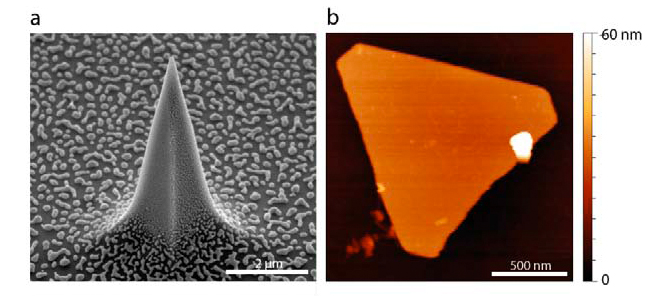 Photo-catalytic processes have been monitored at the nanoscale.