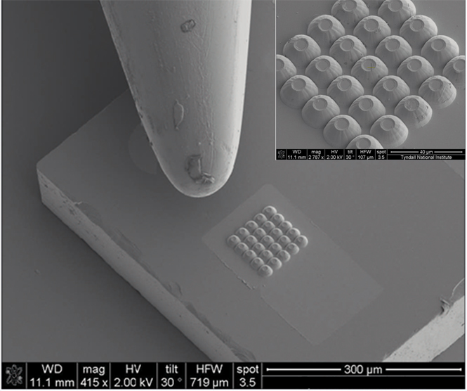 Small but powerful: A cluster of 25 MicroLEDs beside the tip of a needle. 