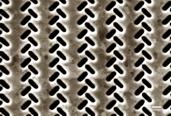 Nanoscale perforations at the surface of the (gold) plasmonic coupler.
