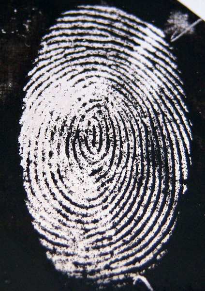 Whodunnit? Enhanced image of fingermark on stainless steel.