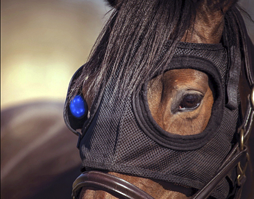 Winning by a wavelength: The Equilume Light Mask in action.