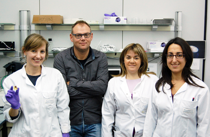 Bright and efficient: Hendrink Bolink and the ICMol team in Valenica.