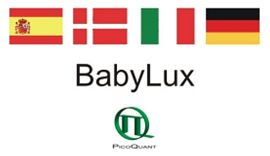Babylux aims to develop an optical neuro-monitor for premature babies.
