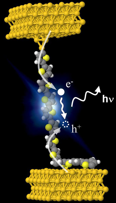 Electroluminescence in a single polythiophene molecular.