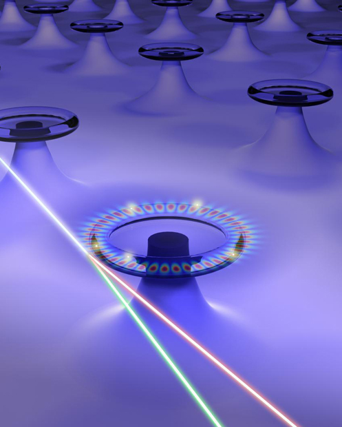 Shh! Whispering-Gallery Raman microlasers for detecting single nano particles.