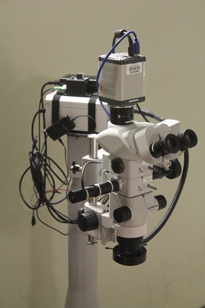 Augmented microscope