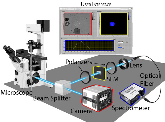 Spectroscopy of selected regions of a microscope sample. 