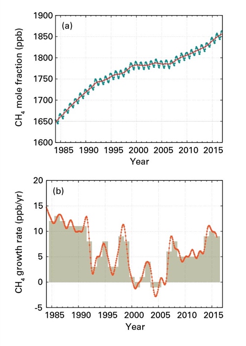 Global methane concentration (1984-2016)
