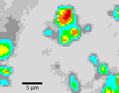 Raman image showing the core of the affected areas (red) and also transition areas.
