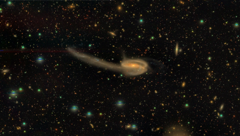 The 'Tadpole' galaxy: part of Subaru's first major data release