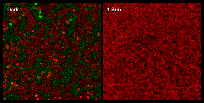 Photoluminescence maps (37x37 μm²) show formation of perovskite.