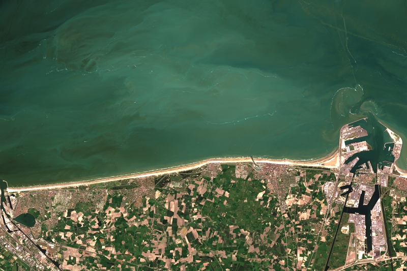 Algal bloom off the Belgian coast