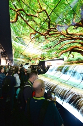 LG's 'OLED Falls' display in Las Vegas