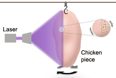 Laser irradiation could disinfect uncooked or chopped chicken meat.