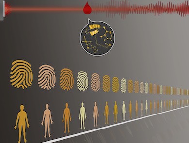 Blood match: individual fingerprint
