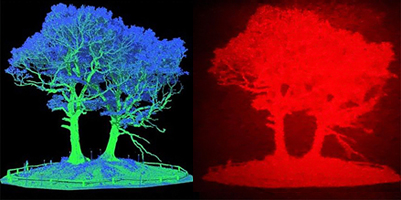 Scanned LiDAR data are converted into 3D holographic objects.