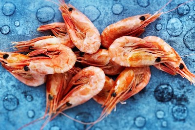 Measuring the thickness of ice on prawns is just one possible application.