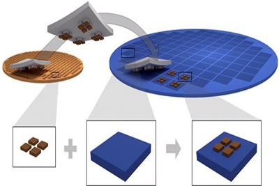 Schematic representation of the micro-transfer printing process. 