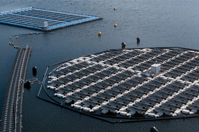 Floating solar renewable electricity platform launched at the start of January.