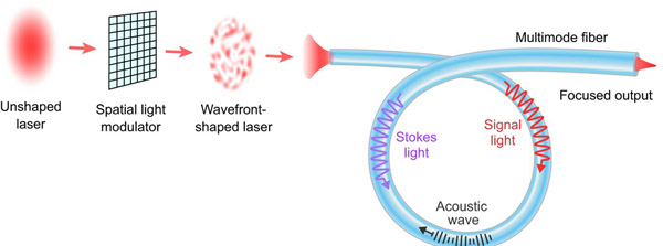 A narrowband laser beam shaped by a spatial light modulator excites many modes in a multimode fiber.