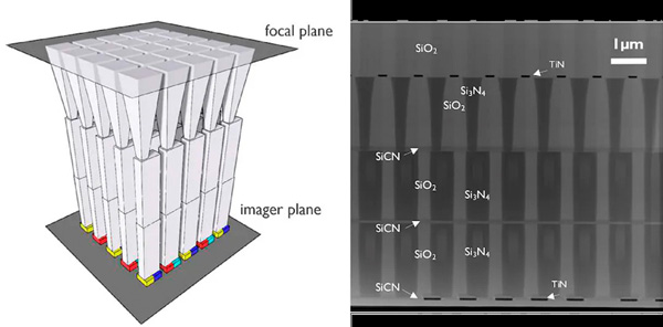 3D visualization (L) and TEM cross-section (R) of the vertical waveguide array.